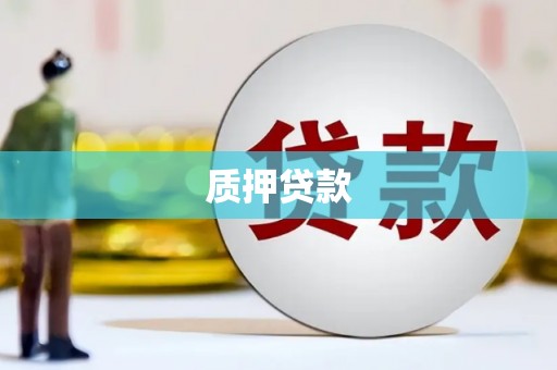 阿莲质押贷款