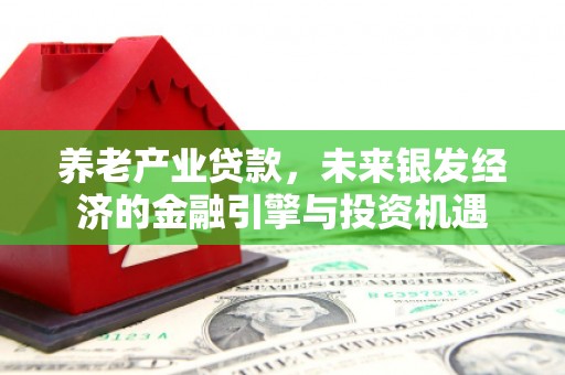 阿莲养老产业贷款，未来银发经济的金融引擎与投资机遇