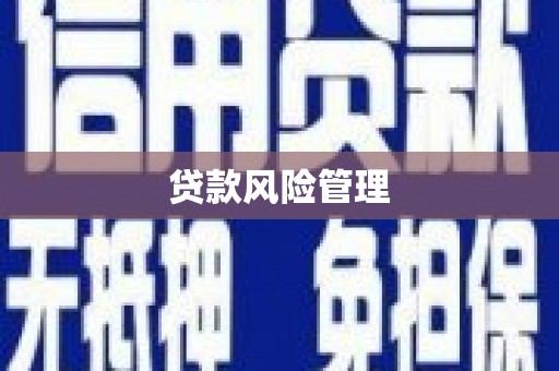 阿莲贷款风险管理