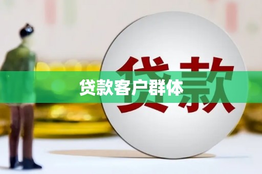 阿莲贷款客户群体