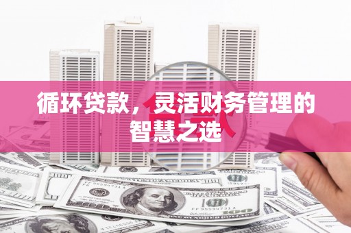 阿莲循环贷款，灵活财务管理的智慧之选