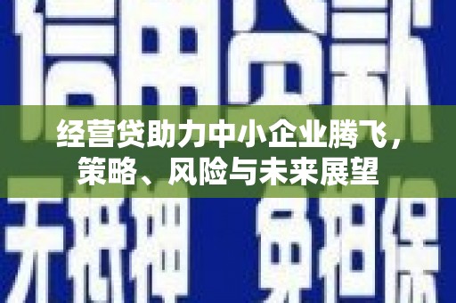 阿莲经营贷助力中小企业腾飞，策略、风险与未来展望