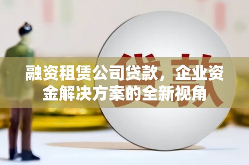阿莲融资租赁公司贷款，企业资金解决方案的全新视角