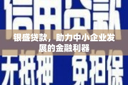 阿莲银盛贷款，助力中小企业发展的金融利器