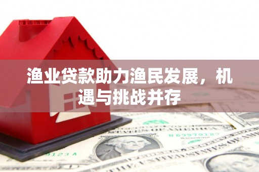 阿莲渔业贷款助力渔民发展，机遇与挑战并存