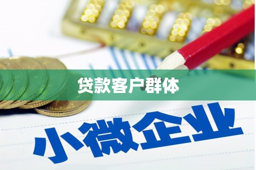 阿莲贷款客户群体