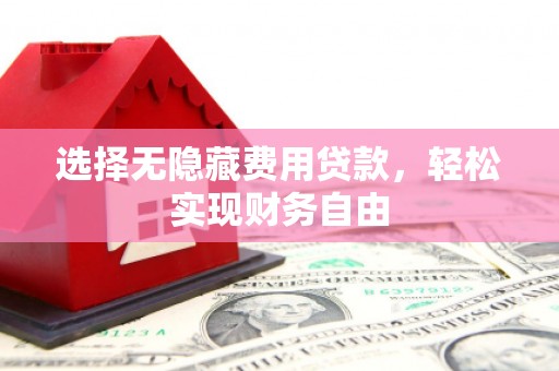 阿莲选择无隐藏费用贷款，轻松实现财务自由