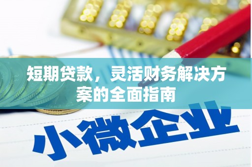 阿莲短期贷款，灵活财务解决方案的全面指南