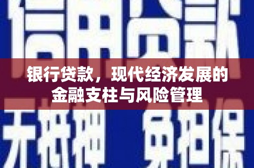 阿莲银行贷款，现代经济发展的金融支柱与风险管理