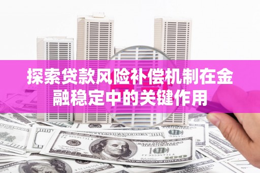 阿莲探索贷款风险补偿机制在金融稳定中的关键作用