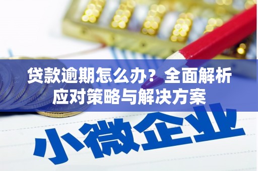 阿莲贷款逾期怎么办？全面解析应对策略与解决方案