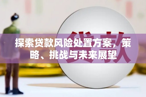 阿莲探索贷款风险处置方案，策略、挑战与未来展望