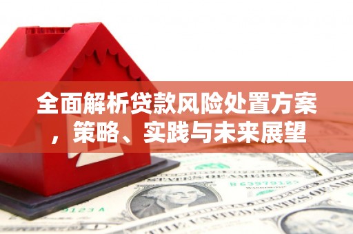 阿莲全面解析贷款风险处置方案，策略、实践与未来展望