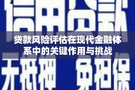 阿莲贷款风险评估在现代金融体系中的关键作用与挑战