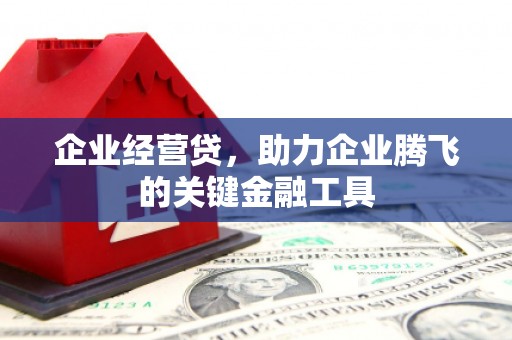 阿莲企业经营贷，助力企业腾飞的关键金融工具