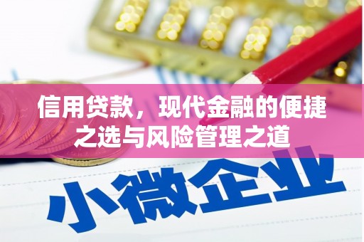 阿莲信用贷款，现代金融的便捷之选与风险管理之道