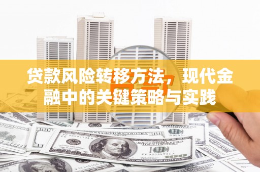 阿莲贷款风险转移方法，现代金融中的关键策略与实践