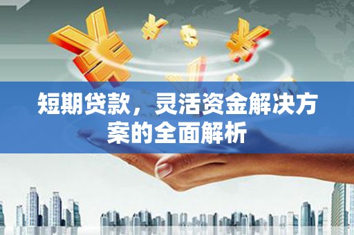 阿莲短期贷款，灵活资金解决方案的全面解析