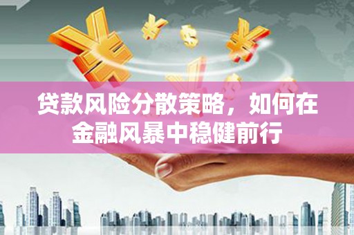 阿莲贷款风险分散策略，如何在金融风暴中稳健前行