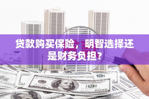 阿莲贷款购买保险，明智选择还是财务负担？