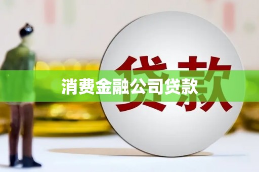 阿莲消费金融公司贷款