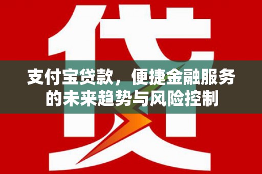 阿莲支付宝贷款，便捷金融服务的未来趋势与风险控制