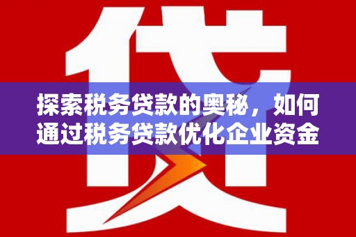 阿莲探索税务贷款的奥秘，如何通过税务贷款优化企业资金流