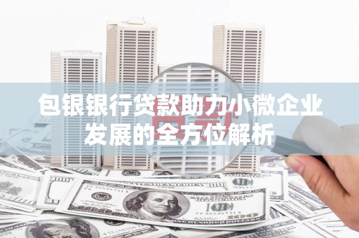 阿莲包银银行贷款助力小微企业发展的全方位解析