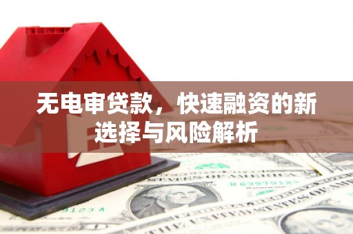 阿莲无电审贷款，快速融资的新选择与风险解析