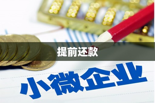 阿莲提前还款