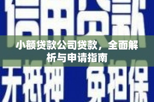 阿莲小额贷款公司贷款，全面解析与申请指南