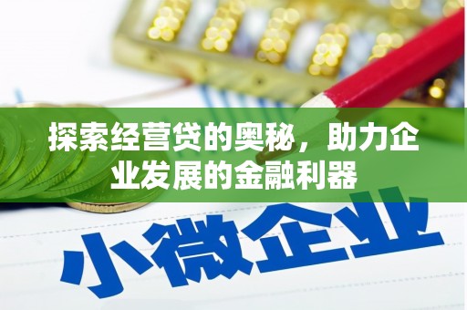 阿莲探索经营贷的奥秘，助力企业发展的金融利器
