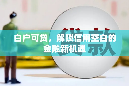 阿莲白户可贷，解锁信用空白的金融新机遇