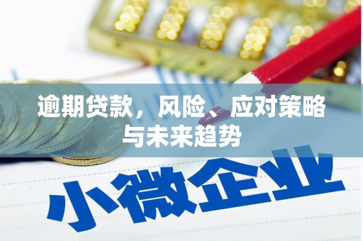 阿莲逾期贷款，风险、应对策略与未来趋势