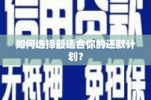 阿莲如何选择最适合你的还款计划？
