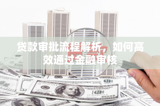阿莲贷款审批流程解析，如何高效通过金融审核