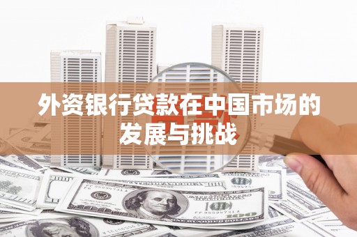 阿莲外资银行贷款在中国市场的发展与挑战