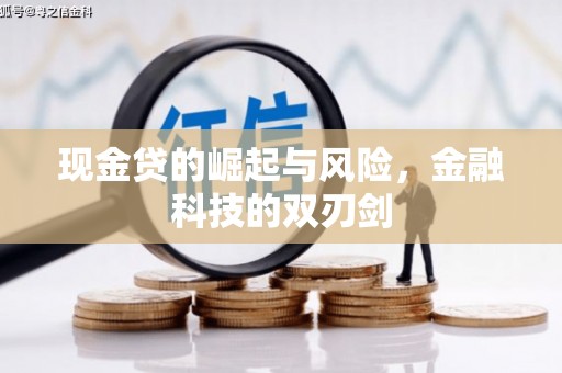 阿莲现金贷的崛起与风险，金融科技的双刃剑