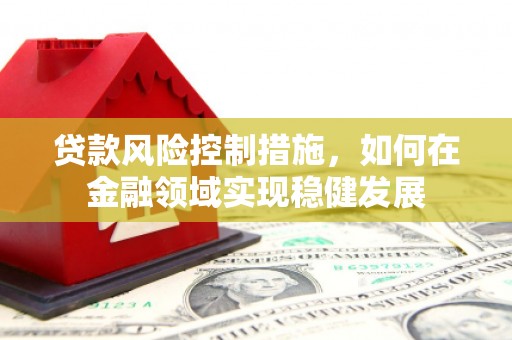 阿莲贷款风险控制措施，如何在金融领域实现稳健发展
