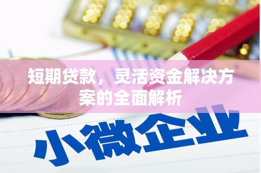 阿莲短期贷款，灵活资金解决方案的全面解析