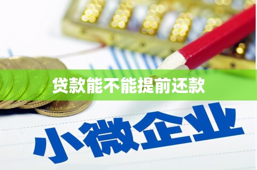 阿莲贷款能不能提前还款