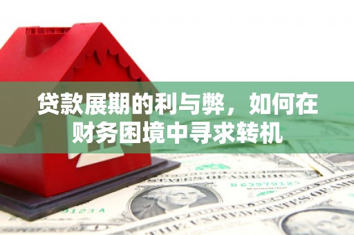 阿莲贷款展期的利与弊，如何在财务困境中寻求转机