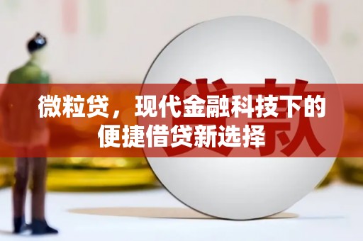 阿莲微粒贷，现代金融科技下的便捷借贷新选择