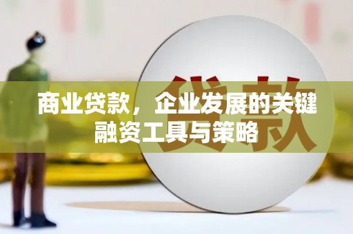 阿莲商业贷款，企业发展的关键融资工具与策略
