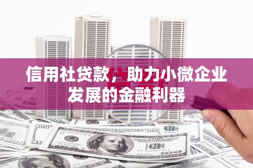 阿莲信用社贷款，助力小微企业发展的金融利器