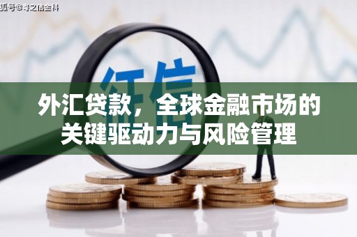 阿莲外汇贷款，全球金融市场的关键驱动力与风险管理