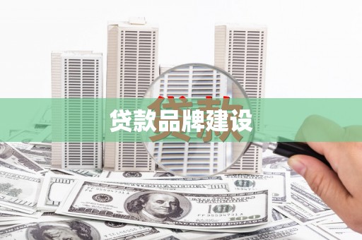 阿莲贷款品牌建设