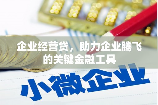 阿莲企业经营贷，助力企业腾飞的关键金融工具