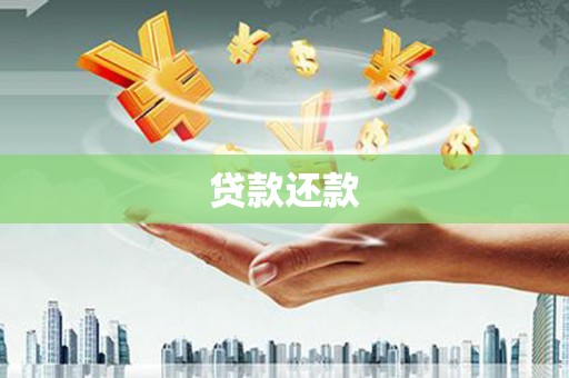 阿莲贷款还款