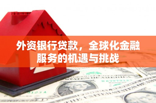 阿莲外资银行贷款，全球化金融服务的机遇与挑战